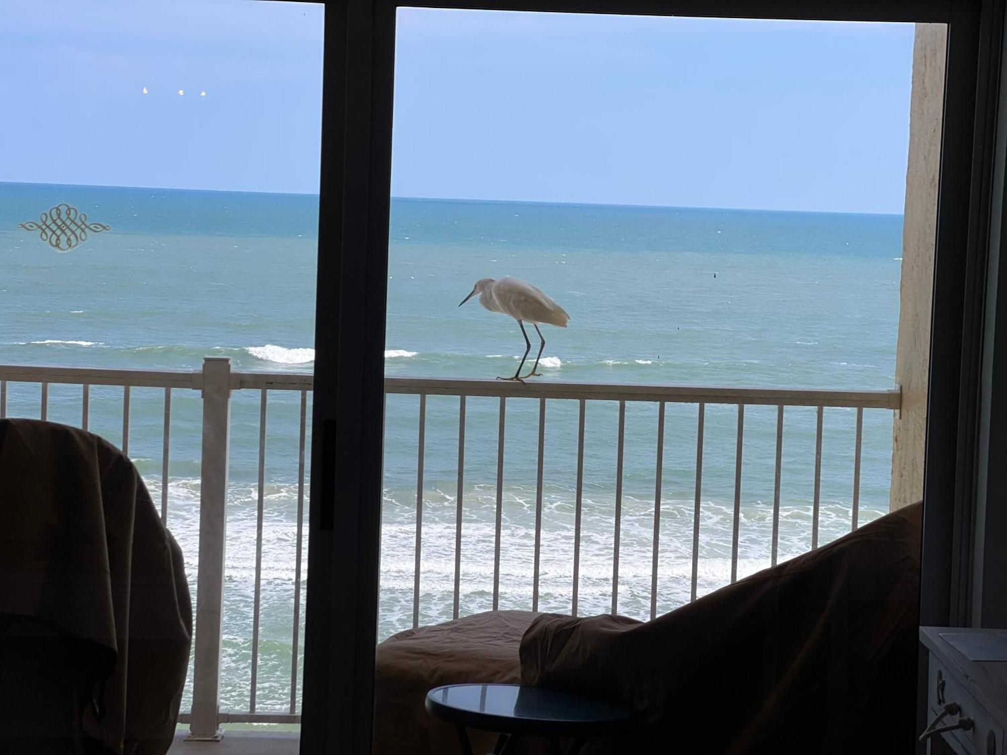 Appartamento Ponce De Leon Towers New Smyrna Beach Esterno foto