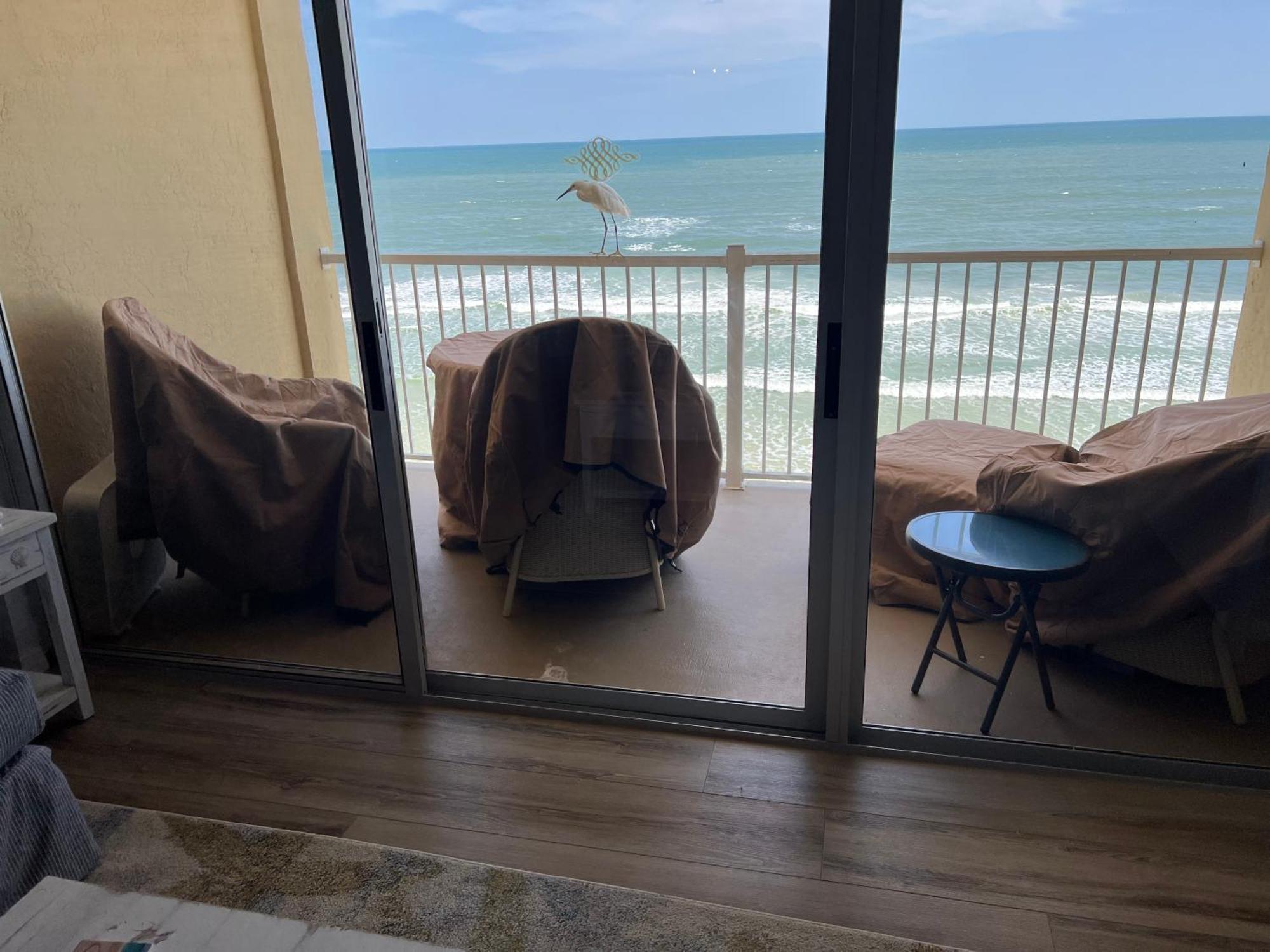Appartamento Ponce De Leon Towers New Smyrna Beach Esterno foto